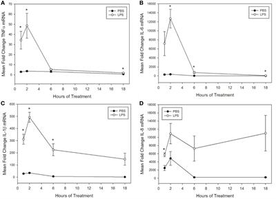 Misoprostol Inhibits Lipopolysaccharide-Induced Pro-inflammatory Cytokine Production by Equine Leukocytes